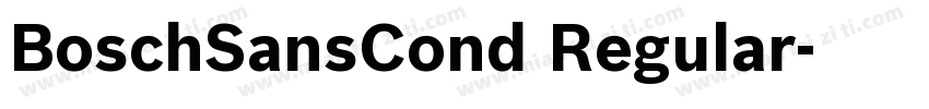 BoschSansCond Regular字体转换